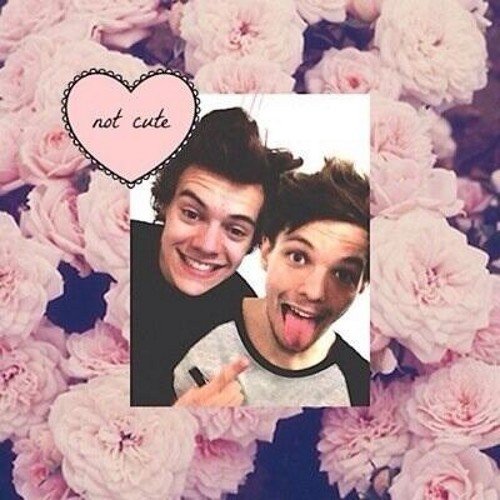 ~We fight for a love that is Larry stylinson and im never getting off of this ship~                  ♡Bravery♡