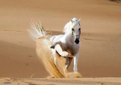 43095cd9fded46b's profile picture. kisar12346سكايب