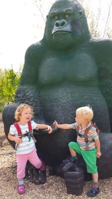 mattdorward's profile picture. 