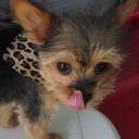 kitty richardson - @kmisskitty12 - Twitter