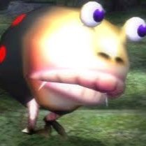 SBulbear's profile picture. 