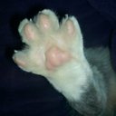 Kim Schmelzer - @kimp1546 - Twitter