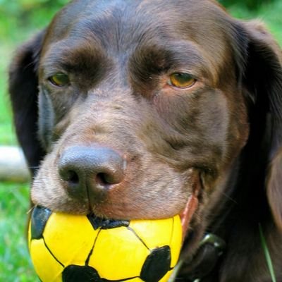 Muleymuleymule Profile Picture