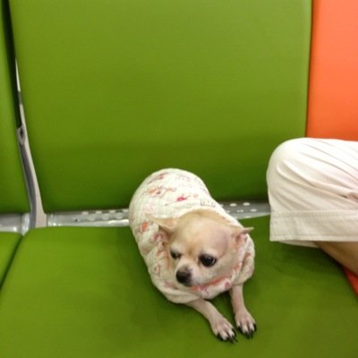 aromikim55's profile picture. 동물사랑, 사람사랑,정의구현,모든 생명체는 아름답다.