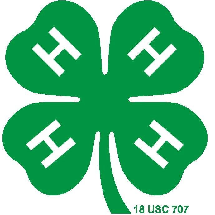 Make the best better! 🍀🐇🐴🧪🚀🍀
