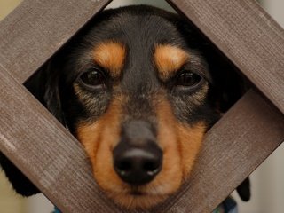 Страшно не то, что вас обманули или обокрали, страшно, что вы постоянно помните об этом. © Конфуций