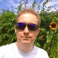 Neil Earl (@yellowox1) 's Twitter Profile