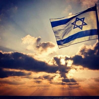 Dromax's profile picture. 