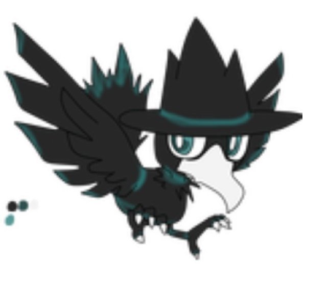 A fledgling murkrow that's allegic to oran berries, has no sense of smell and, has hetrochromia. Grampy:@Insanics Mama:@Zoroarkhair