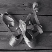 Evi Mavrou (@wedance_academy) 's Twitter Profile