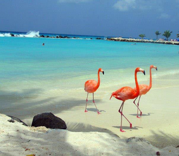 thefamilypages's profile picture. The best resources for raising a healthy, happy family!