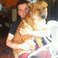 Yaaayo (@yeiiyo) 's Twitter Profile