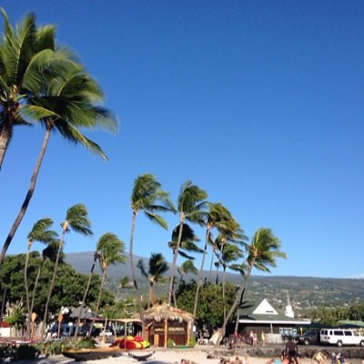 maple0616's profile picture. 