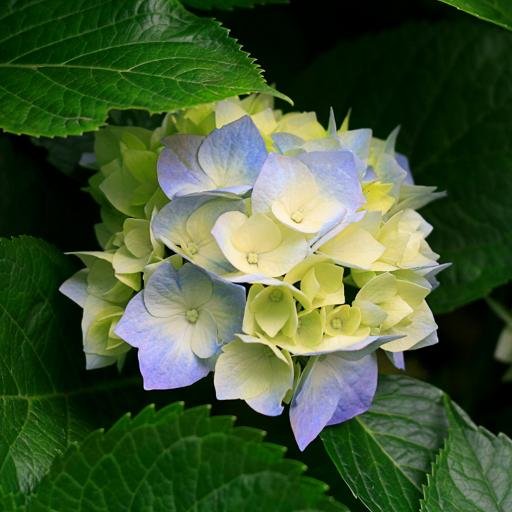 vannr2's profile picture. 