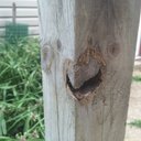 Jason Snodgrass - @jdsnodgrass1 - Twitter