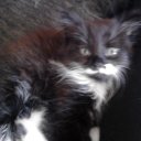 lisa marie rye - @Lmr83Rye - Twitter