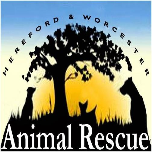 Small independent voluntary organisation dedicated to helping dogs in need.

https://t.co/YPbaHr4iAq