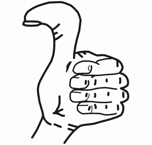 Niets moet, (bijna) alles mag!