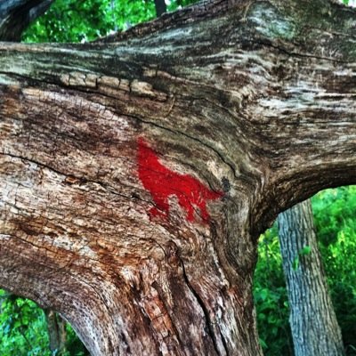 IndieAddicts's profile picture. Just two Midwestern kids sharing our love for music.