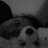 CathyParada's profile image