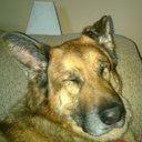 Don Shine - @wildblaze2000 - Twitter