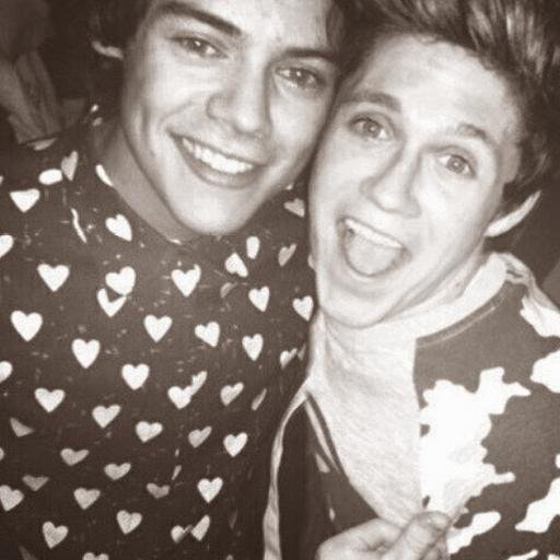 Apenas mas uma Directioner louca por 1D ۞♡♥♡♡♥♡
