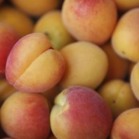 a mc donald (@antoneyz) 's Twitter Profile Photo