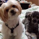 ada vargas - @Adavargas13Ada - Twitter