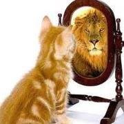In the end it will all be ok,and if's not it won't be the end!! 😇 Already ready,already!!