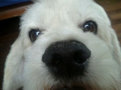 carlofranco303 Profile Picture