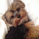 Carole Greer - @GreerCarole - Twitter