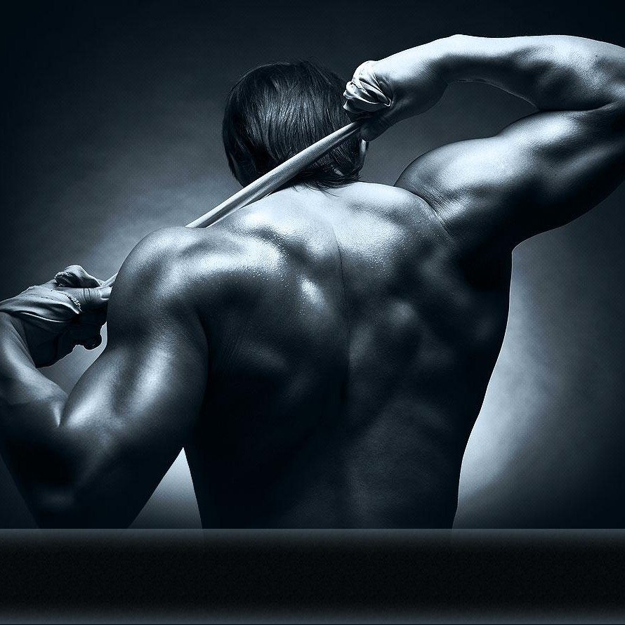 JerseyFitness1's profile picture. 