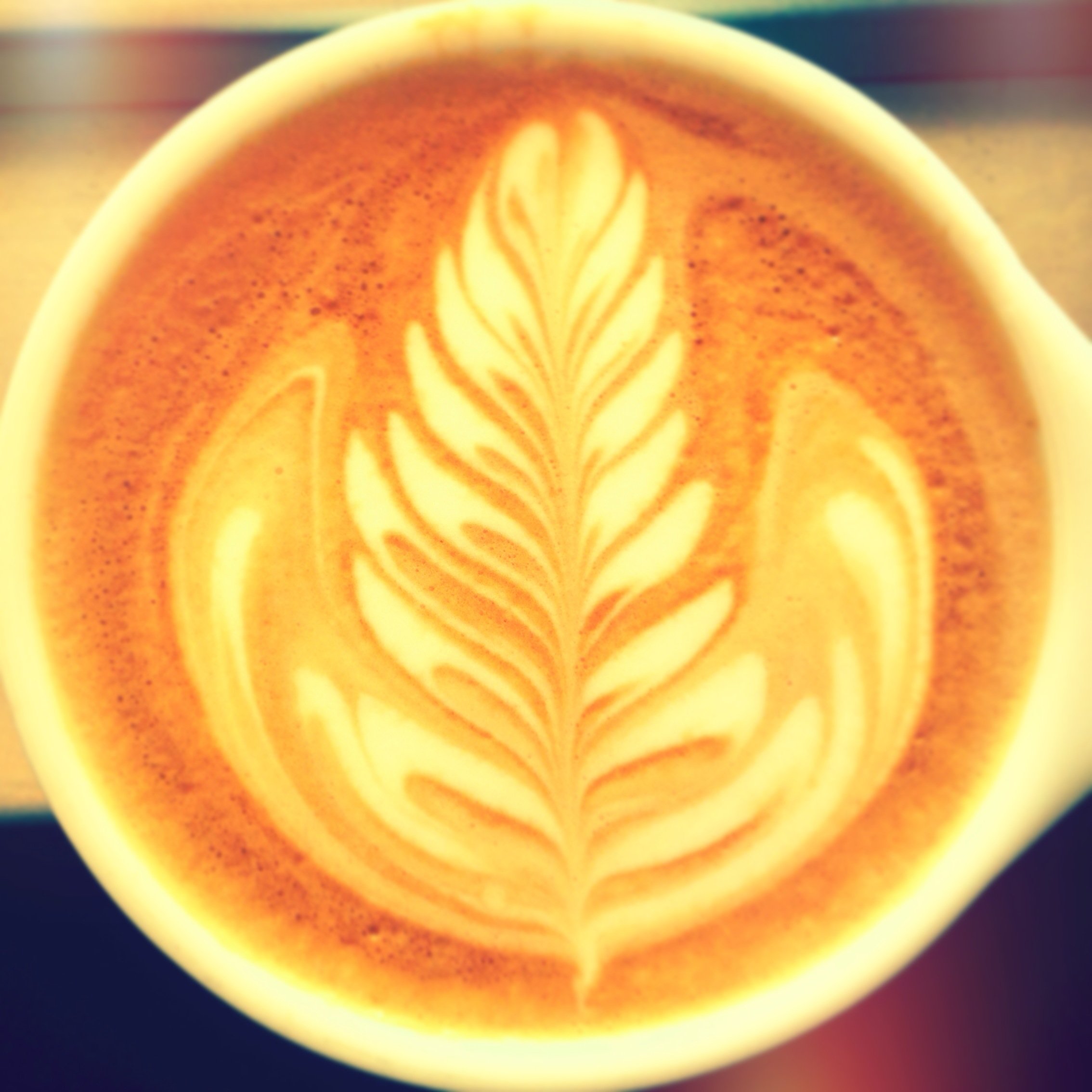 Coffee lover and maker in Brooklyn New York City