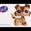 Wanda Walters - @wandawalters61 - Twitter