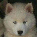 Joseph Basham - @basham_joseph - Twitter