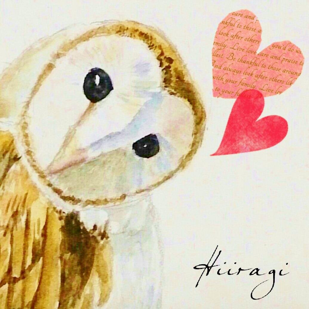 ihaveroomforpan's profile picture. ウッドデッキになって鳩に歩かれたい