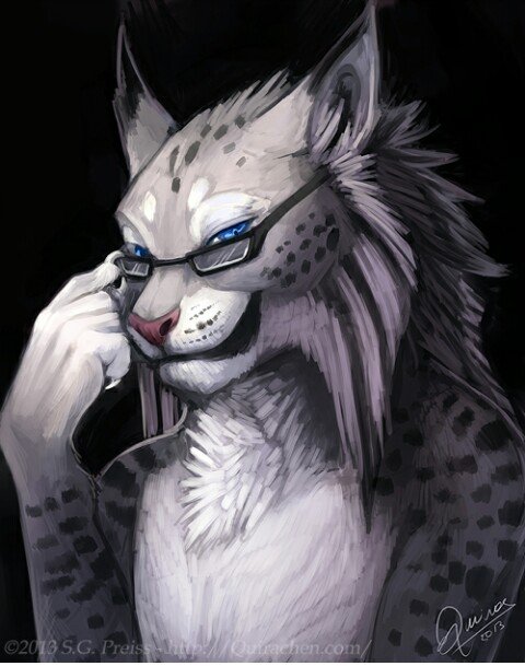 hi, im Matt the Lynx...bored? come and talk to me...or talk with me~#bi v1: @Furry_Luxray v2: empty v3:empty