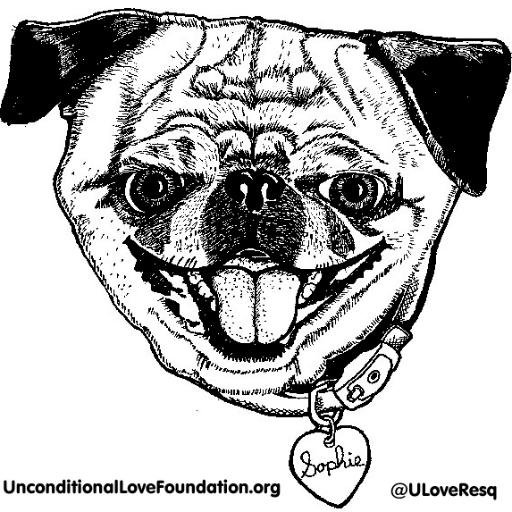 Unconditional Love Foundation ULF's mission is to make the world a better place for those who inhabit it and ease the suffering of animals, humans & the earth.