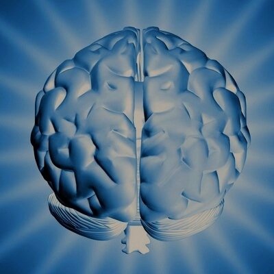 Writing a Memoir about the twisted & irrational thoughts that  swirled inside my brain for 39 years. My OCD was so severe it completely controlled my life.