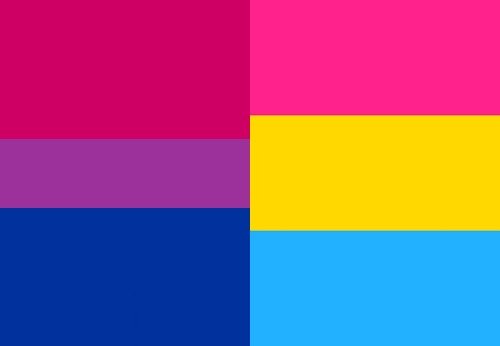 WiBiPan's profile picture. Wisconsin Bi/Pan Speaker’s Bureau provides Wisconsin with knowledgeable and trained speakers about bisexuality, pansexuality and non-mononsexuality.