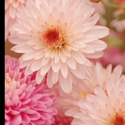 mrowell602's profile picture. 