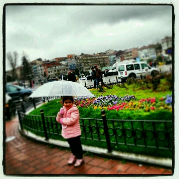 alaa1212lm's profile picture. m