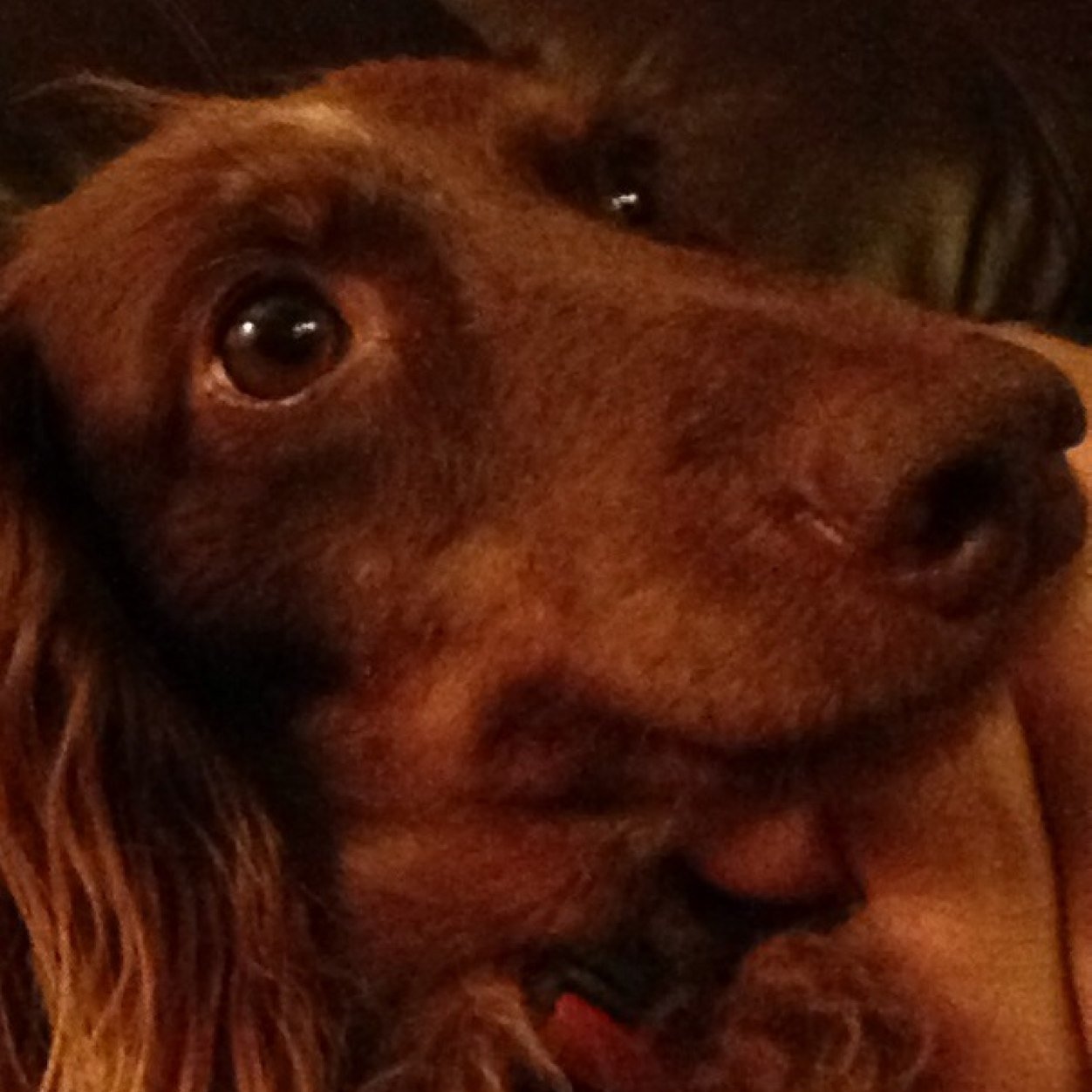 NotChristianlol's profile picture. :(