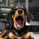 Kev - @kevan_harris - Twitter