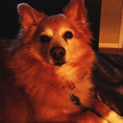 lisalis851's profile picture. 