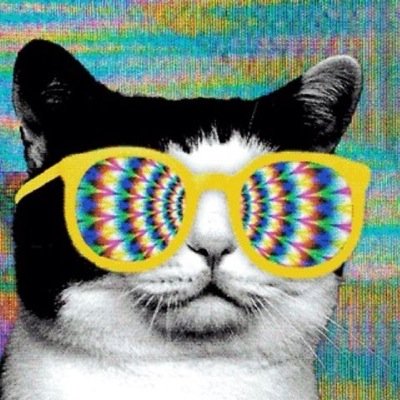 eduardooliver54 Profile Picture
