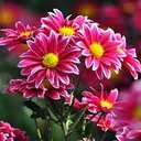 Ebony  Marshall - @HrEbony - Twitter