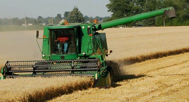 GDrouillard8's profile picture. 31yrs in an auto plant, 21 yrs firefighter, born raised and still farming. 10 miles south of Detroit MI. In Ontario Canada