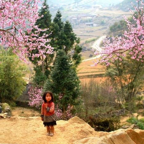 Travel guide Vietnam  -  Best way for your vacation 
By http://t.co/otnVEP1smM
