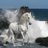 manar1429's profile image